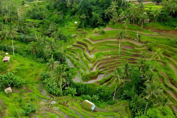 Ayung River Rafting and Kintamani Volcano Trip - Celuk Village silversmith workshops: the local craft stop