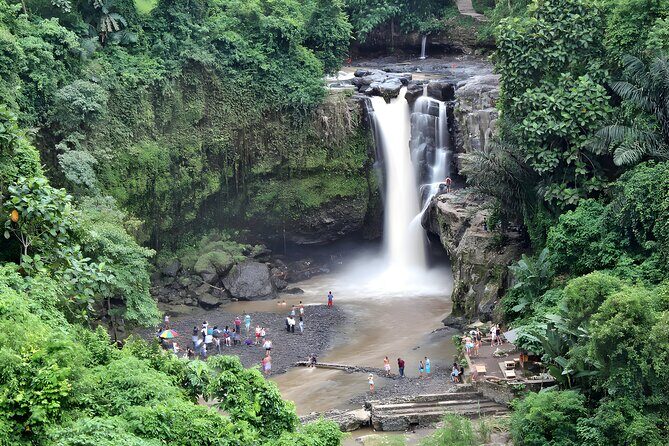 Ayung River Rafting and Kintamani Volcano Trip - Price and what you’re really paying for ($80)